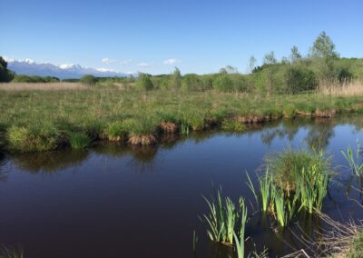 Piano di gestione del SIC/ZSC Lago di Candia